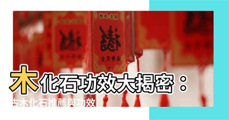 木化石功效|揭秘木化石的神奇力量：舒緩疲勞，守護身心！ 